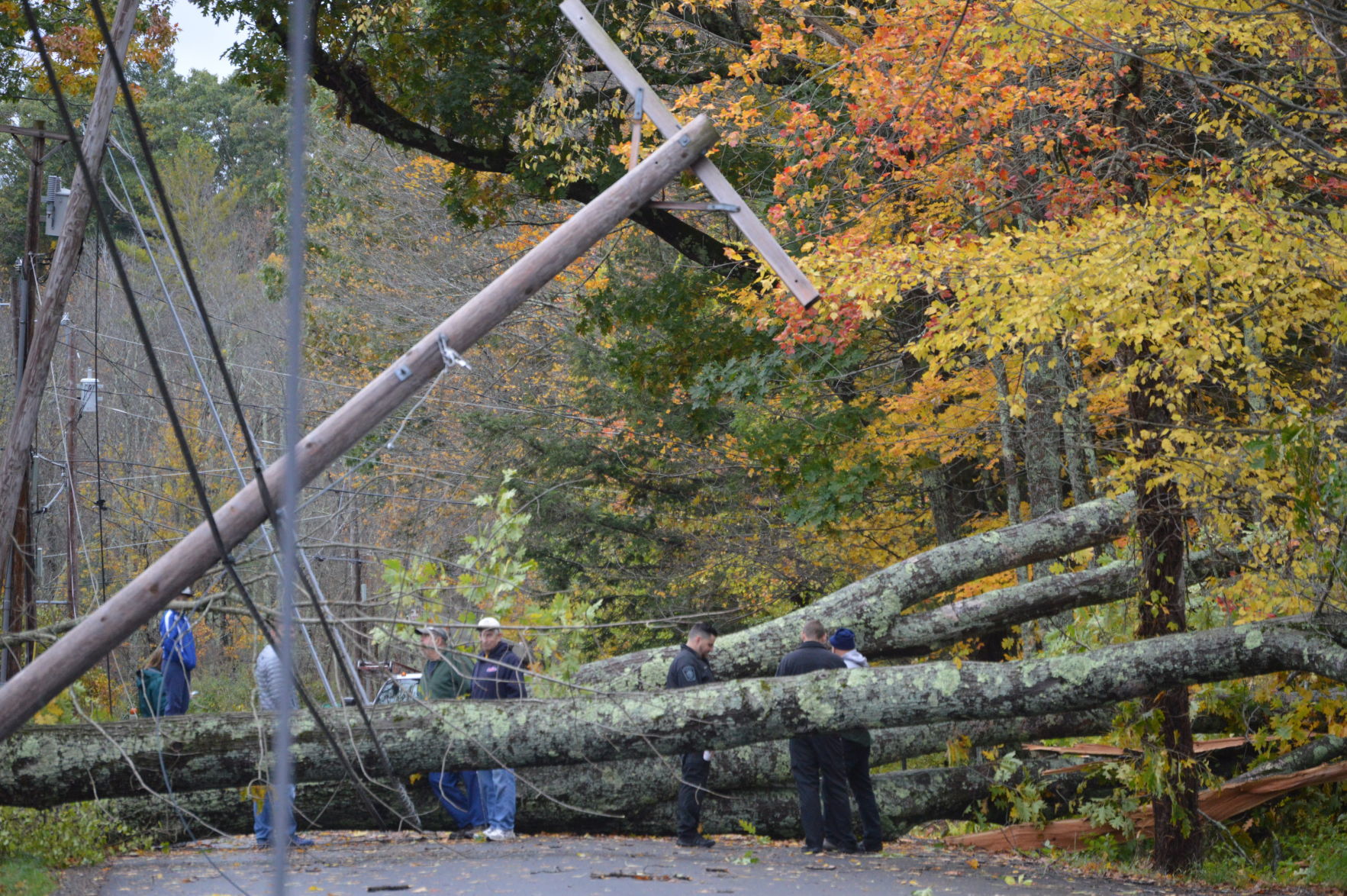 Willow Road storm damage